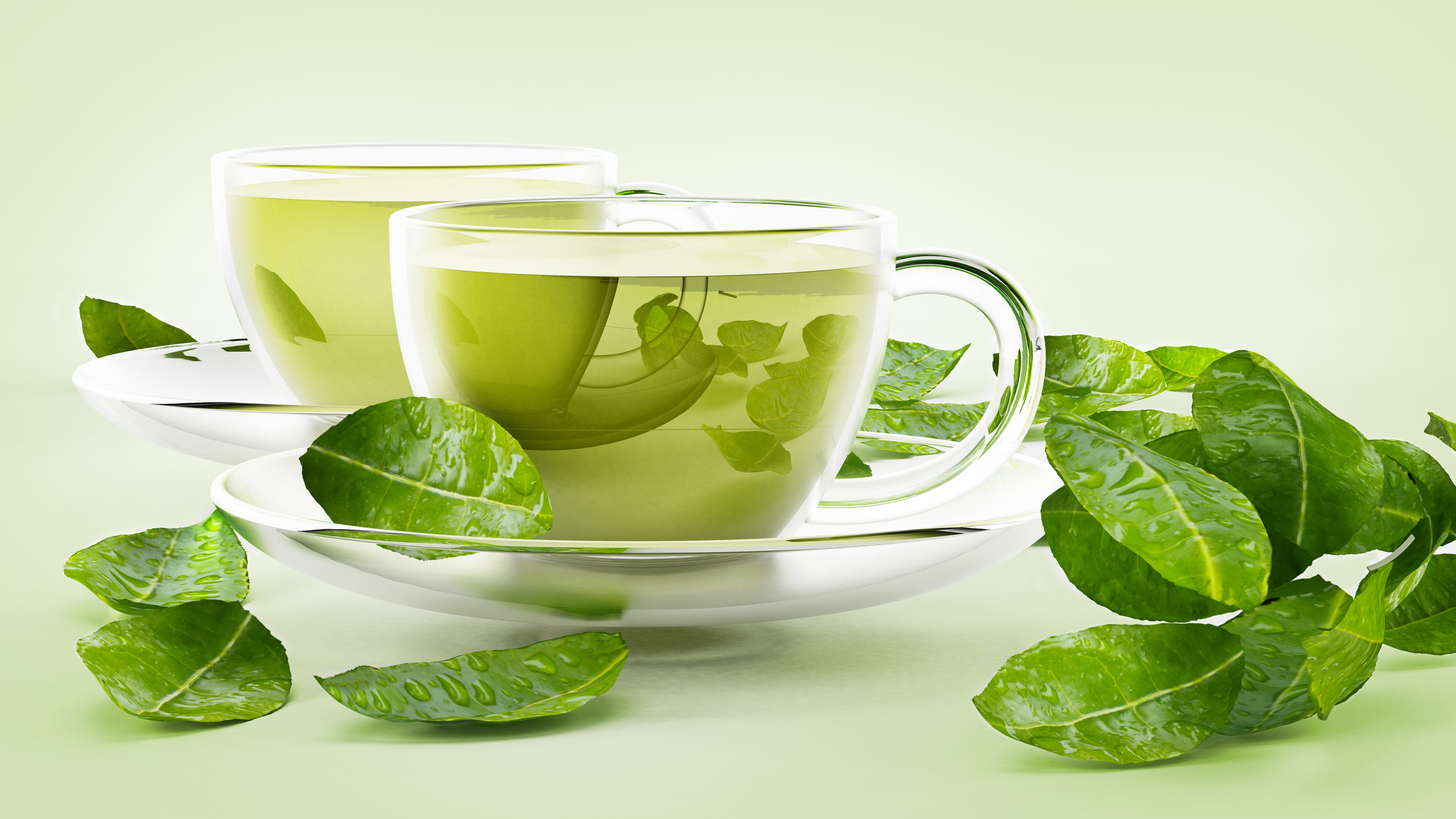 طريقة استخدام الشاي الأخضر